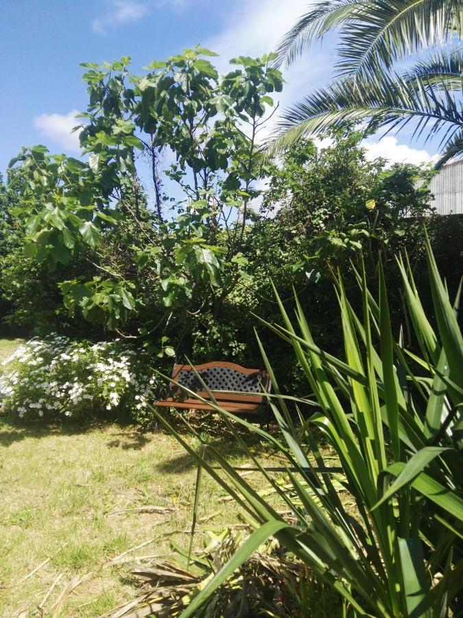 Apartment Pisos Vistalegre 2b Con Jardin Cerca Del Mar *