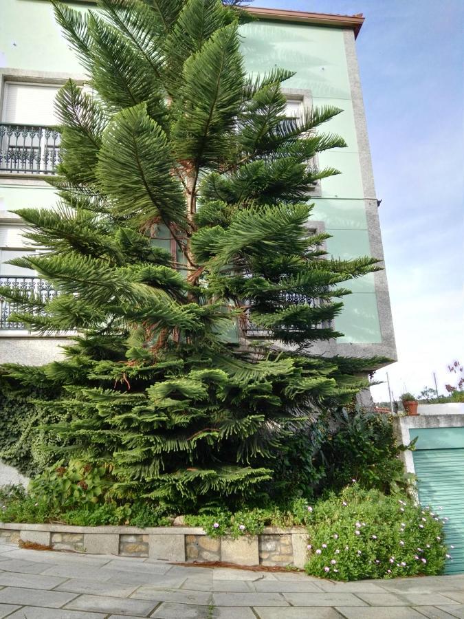 Pisos Vistalegre 2b Con Jardin Cerca Del Mar Apartment