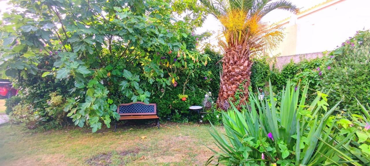 Pisos Vistalegre 2b Con Jardin Cerca Del Mar